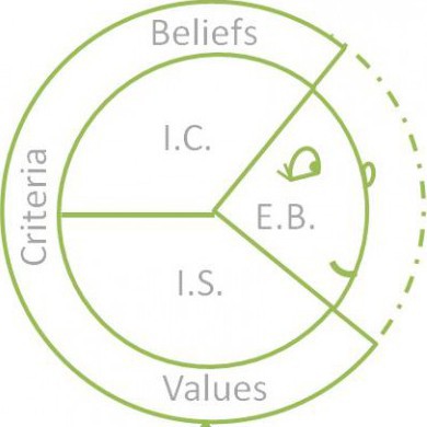 Structure of the Subjective Experience